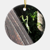 Praying Mantis Keramisch Ornament (Voorkant)