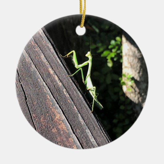 Praying Mantis Keramisch Ornament (Voorkant)
