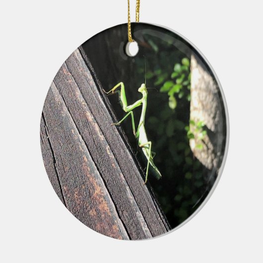 Praying Mantis Keramisch Ornament (Links)