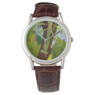 Praying Mantis Leather Watch Horloge