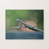 Praying Mantis Legpuzzel (Horizontaal)