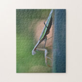 Praying Mantis Legpuzzel (Verticaal)