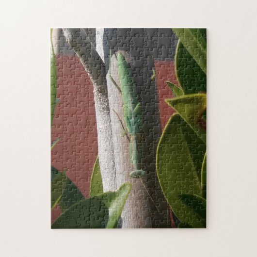 Praying Mantis Legpuzzel (Verticaal)