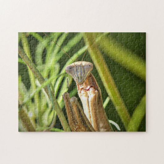 Praying Mantis Legpuzzel (Horizontaal)
