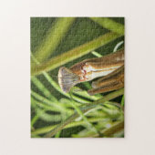 Praying Mantis Legpuzzel (Verticaal)