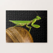 Praying Mantis Macro Legpuzzel (Horizontaal)
