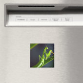 Praying Mantis Magneet (Insitu (Vaatwasser))