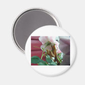 Praying Mantis Magneet (Voorkant / Achterkant)