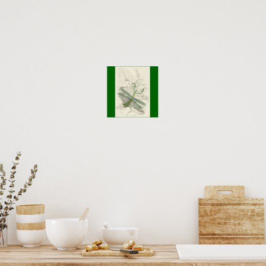 Praying Mantis, Mantis Religiosa Poster (Keuken)