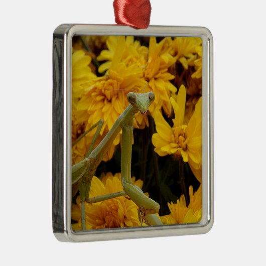 Praying Mantis Metalen Ornament (Rechts)