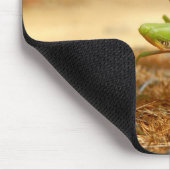 Praying Mantis Mouse Mat Muismat (Hoek)