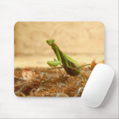 Praying Mantis Mouse Mat Muismat (Met muis)