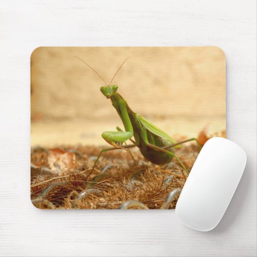 Praying Mantis Mouse Mat Muismat (Met muis)