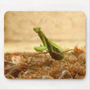 Praying Mantis Mouse Mat Muismat