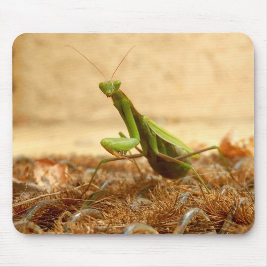 Praying Mantis Mouse Mat Muismat (Voorkant)
