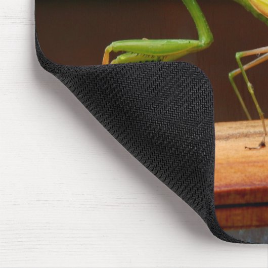 Praying Mantis Mouse Mat Muismat (Hoek)