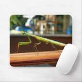 Praying Mantis Mouse Mat Muismat (Met muis)