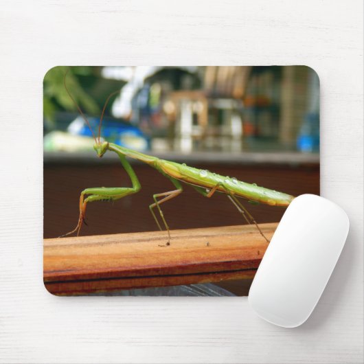 Praying Mantis Mouse Mat Muismat (Met muis)