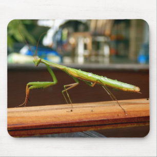 Praying Mantis Mouse Mat Muismat