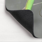 Praying Mantis Mousepad Plus Muismat (Hoek)