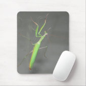 Praying Mantis Mousepad Plus Muismat (Met muis)