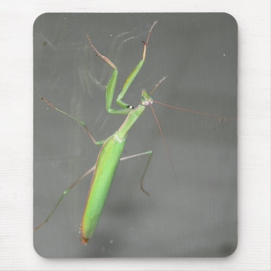 Praying Mantis Mousepad Plus Muismat (Voorkant)