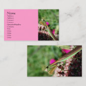 Praying Mantis Natuur Photography Visitekaartje (Voorkant / Achterkant)