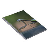 Praying Mantis Notitieboek (Rechterzijde)