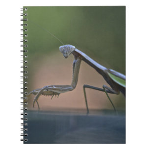 Praying Mantis Notitieboek