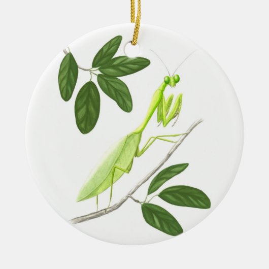 Praying Mantis Ornament (Voorkant)