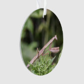 Praying Mantis Ornament (voorkant)