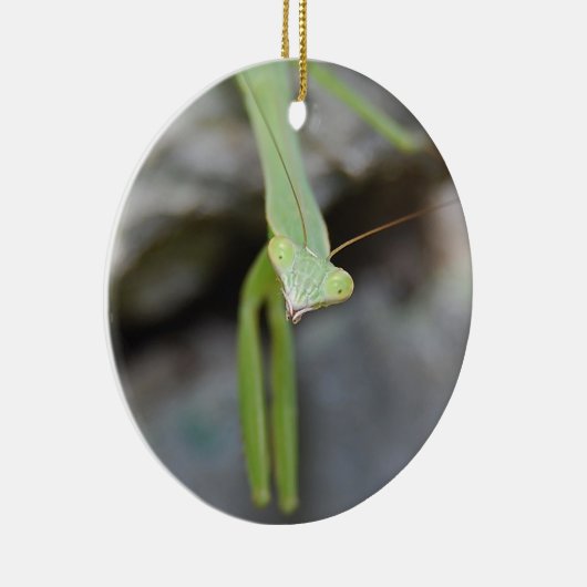 Praying Mantis ornament (Rechts)