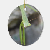 Praying Mantis ornament (Links)