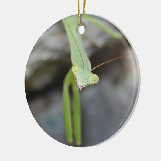 Praying Mantis ornament (Links)