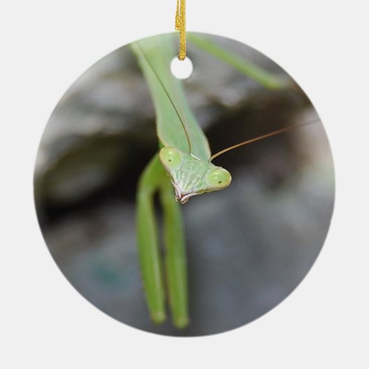 Praying Mantis ornament (Achterkant)