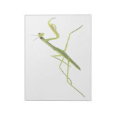 Praying Mantis Painting Notepad Notitieblok (Linkerzijde)