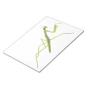 Praying Mantis Painting Notepad Notitieblok (Schuin)