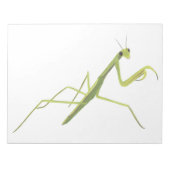 Praying Mantis Painting Notepad Notitieblok (Voorkant)