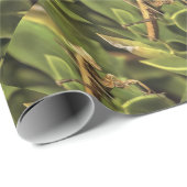 Praying Mantis Portrait Insect Art Cadeaupapier (Rol Hoek)