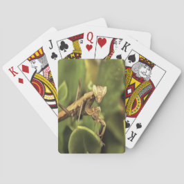 Praying Mantis Portrait Insect Art Pokerkaarten