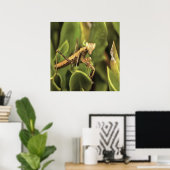Praying Mantis Portrait Insect Art Poster (Thuiskantoor)
