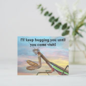 Praying Mantis Post Card Briefkaart (Staand voorkant)