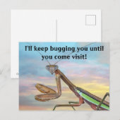 Praying Mantis Post Card Briefkaart (Voorkant / Achterkant)
