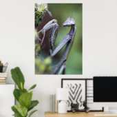 Praying Mantis Poster (Thuiskantoor)