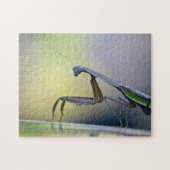 Praying Mantis Puzzle Legpuzzel (Horizontaal)