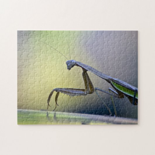 Praying Mantis Puzzle Legpuzzel (Horizontaal)