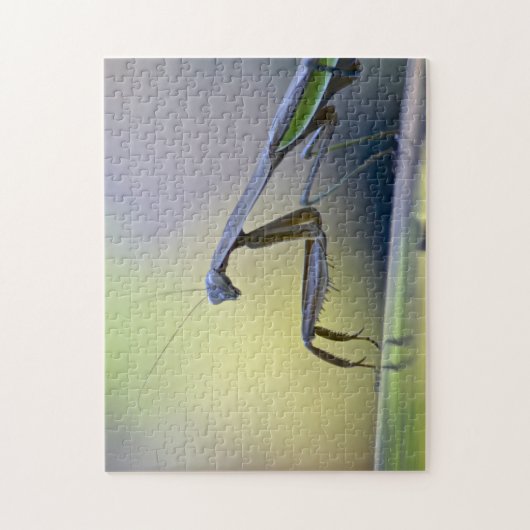 Praying Mantis Puzzle Legpuzzel (Verticaal)