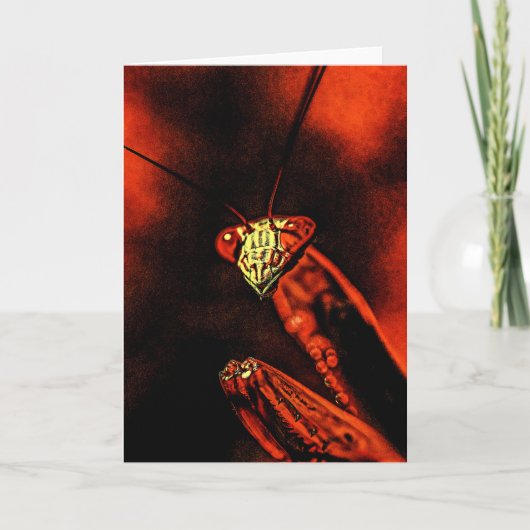 Praying Mantis - Red Nightmare Kaart (Voorkant)