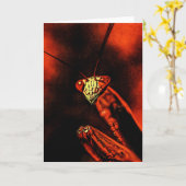 Praying Mantis - Red Nightmare Kaart (Gele Bloem)