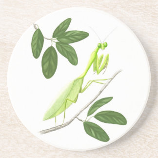Praying Mantis Sandstone Onderzetter